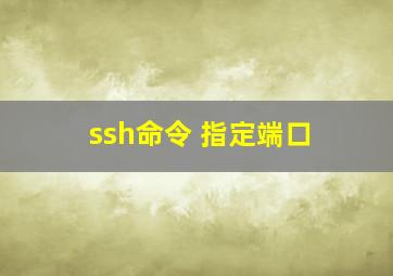 ssh命令 指定端口